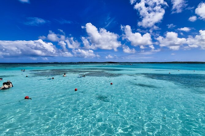 3-Hours Eye-Opening Stingray City Antigua - Transfer R/T included - From St. John’s to Seatons village