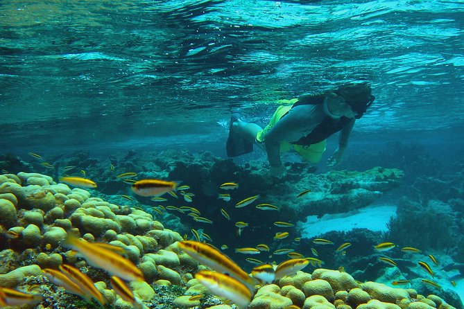 Adventure Antigua - Eli's Original Eco Tour - What Eli’s Original Eco Tour is really about
