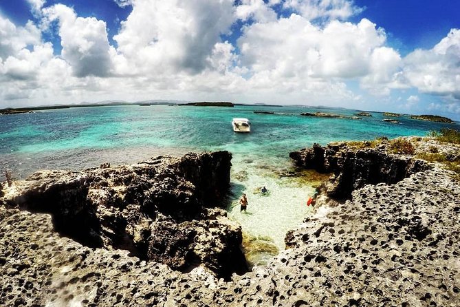 Adventure Antigua - Eli's Original Eco Tour - Guiana Island and the mangrove lesson