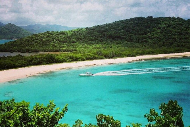 Adventure Antigua - The Xtreme Circumnavigation - Swimming with rays at Stingray City
