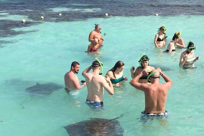 ANTIGUA FROM TOP TO BOTTOM: Stingray City, Beach, lunch & more... - Long Bay Beach for swimming and shore snorkeling