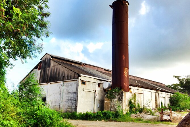 Antigua Historical Sites Island Tour - Why this tour works as an Antigua introduction
