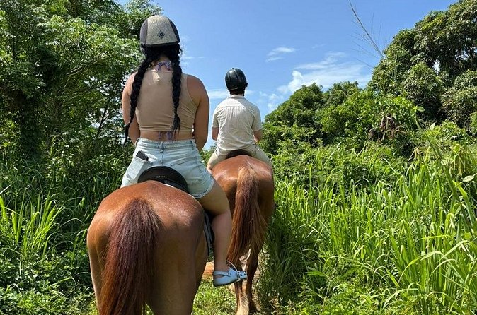 Antigua Horse Ride and Swim - Who should book this Antigua ride?