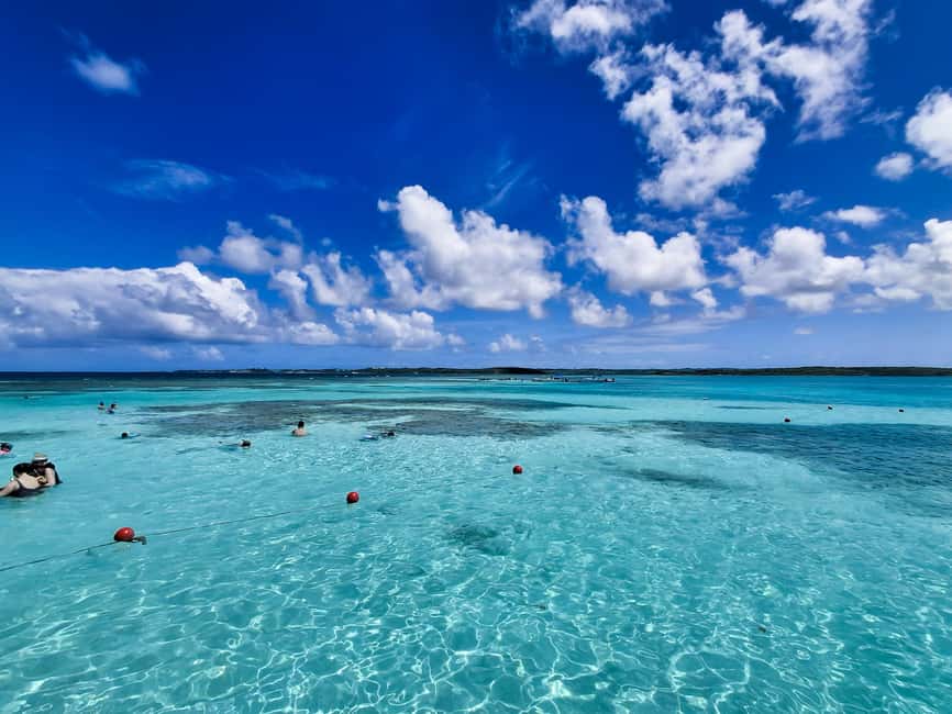 Antigua: Stingray City Experience with Round-Trip Transfer - Key points to know before booking
