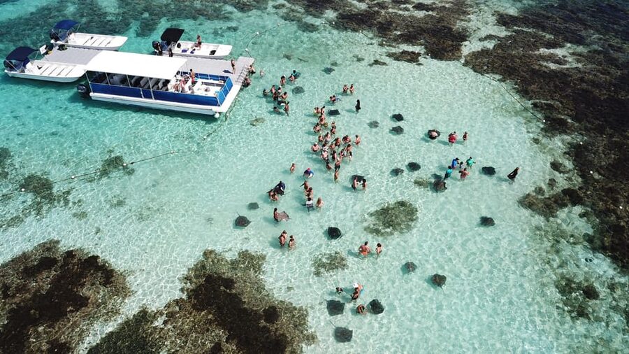 Antigua: Stingray City Experience with Round-Trip Transfer - Showers, facilities, and the ride back