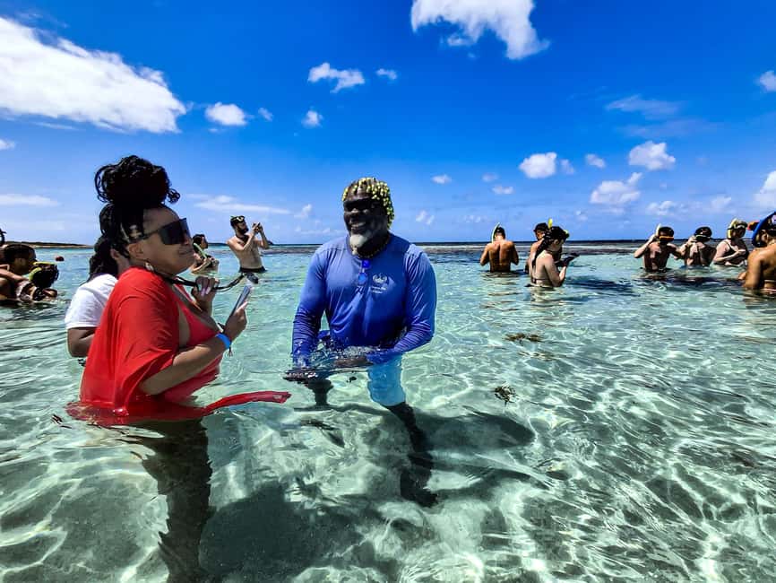 Antigua: Stingray City Experience with Round-Trip Transfer - Pickup from St. John’s or your Antigua resort