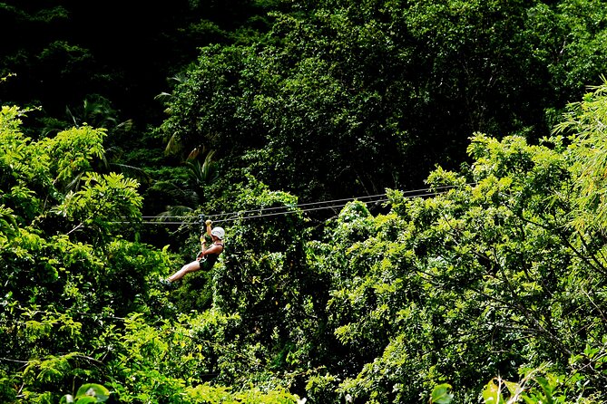 Antigua Zipline Canopy Adventure from St John’s - Rope challenges and two suspension bridges