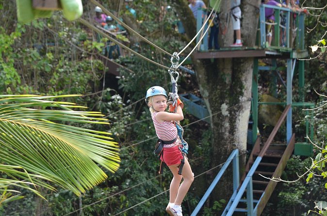 Antigua Zipline Canopy Adventure from St John’s - What the forest setting adds