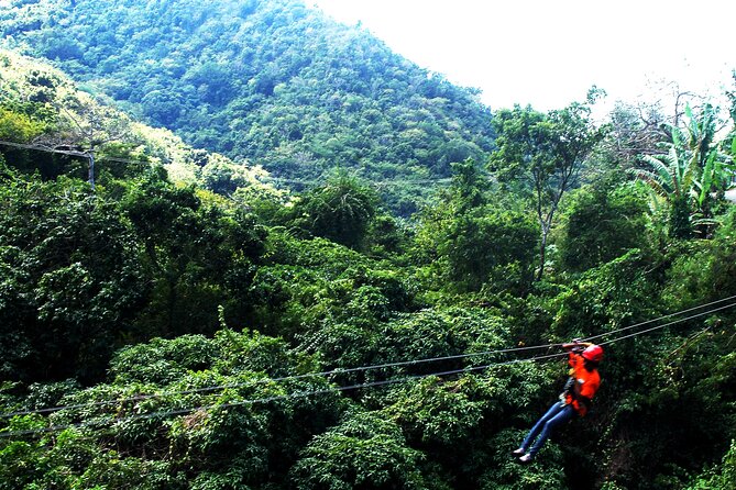 Antigua Zipline Canopy Adventure from St John’s - Thirteen ziplines through Antigua’s forest