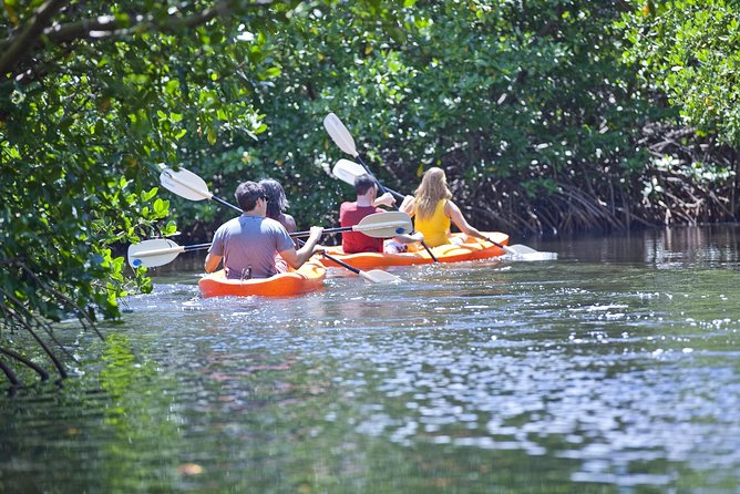 Antigua Zipline & Kayaking Combo From St. John's - Speedboat ride through North Sound Marine Park