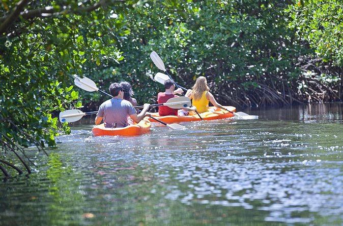 Antigua Zipline & Kayaking Combo From St. John's - Great Bird Island for lunch, swimming, and snorkeling