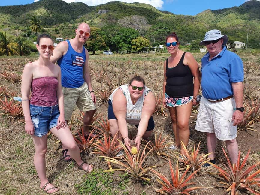 Antiguan experience home tour with local guide with lunch - Starting at Cheers Restaurant in Heritage Quay
