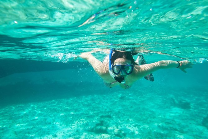 Cades Reef Snorkel Cruise from St. John's Antigua - Cades Reef Snorkel Cruise: Key Points