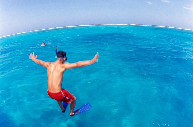 Cades Reef Snorkel Cruise from St. John's Antigua - Who Will Enjoy This Antigua Cruise Most?