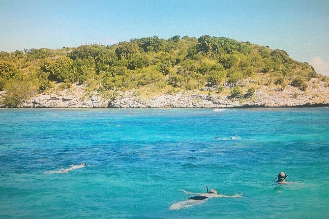 Cades Reef Snorkel Cruise from St. John's Antigua - What Snorkeling at the Two-Mile Reef Is Really Like