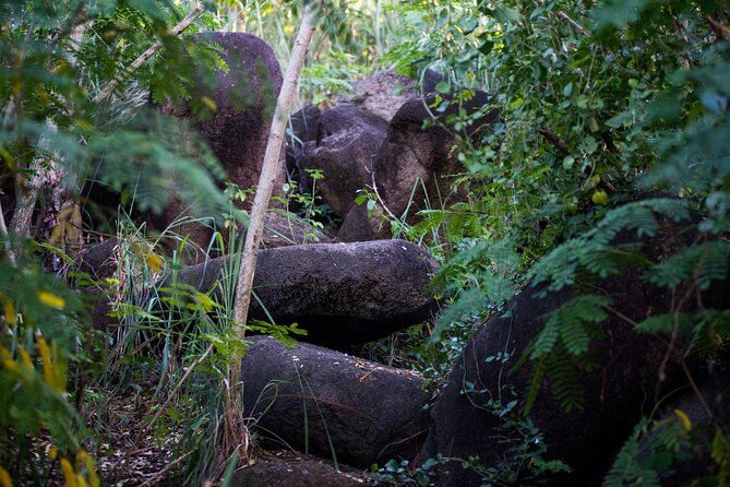 Caribbean Stonehenge - Hike on Green Castle Hill, Antigua. - What the three-hour walk is like