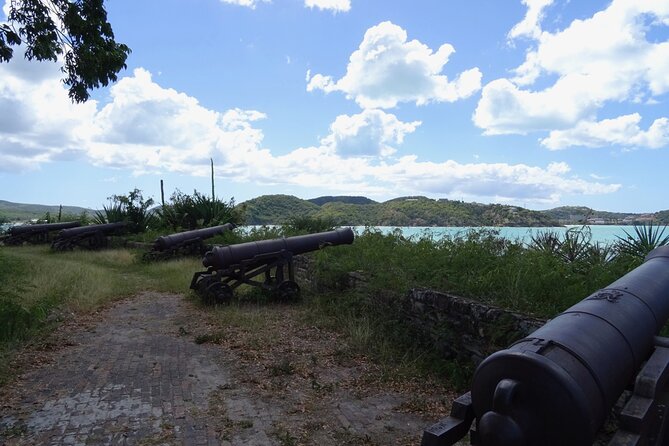 City of St John's Sightseeing Tour - Timing, transport, and the small-group setup