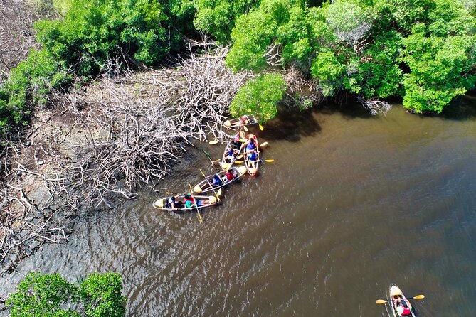 Clear Kayak Tour in Mangrove Antigua - The clear kayak view beneath your seat