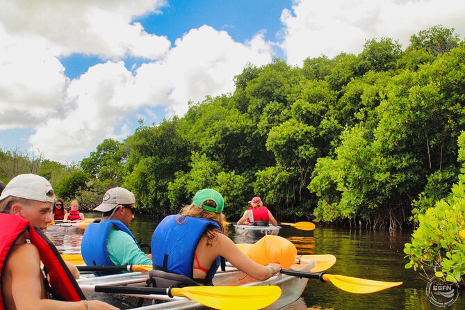 Clear Kayak Tour in Mangrove Antigua - Who will enjoy this Antigua activity most