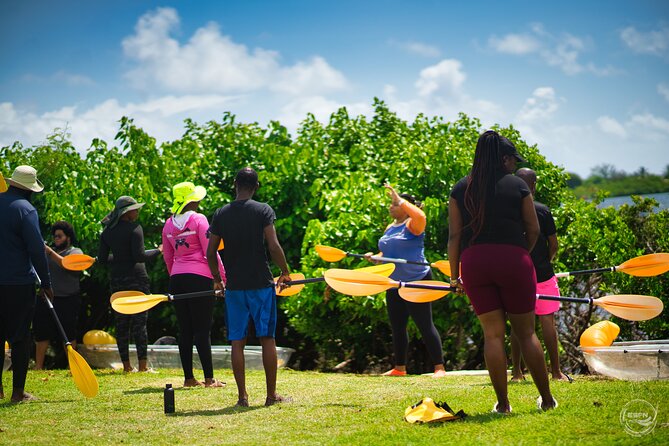 Clear Kayak Tour in Mangrove Antigua - Meeting point, fitness, and weather planning