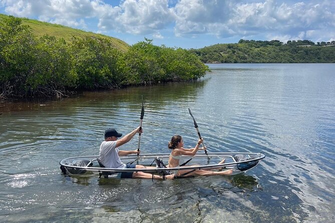 Crystal Kayak & Snorkel Eco Tour (with transfer) - The calm bay and mangrove paddle