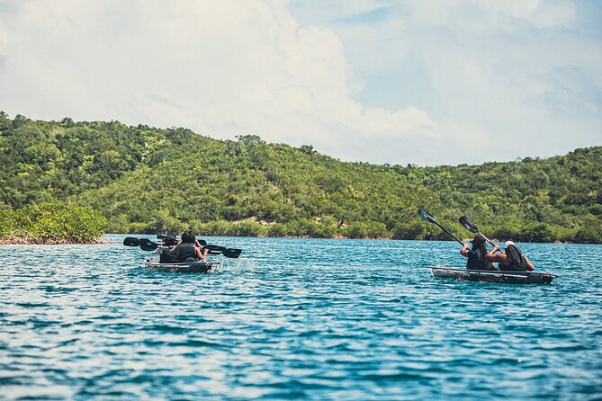 Crystal Kayak & Snorkel Eco Tour (with transfer) - Snorkeling after the kayak: the best and weakest variable