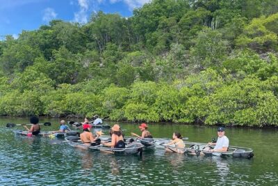 Crystal Kayak & Snorkel Eco Tour (with transfer)