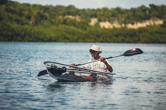 Crystal Kayak & Snorkel Eco Tour (with transfer) - Transfers, timing, and group size