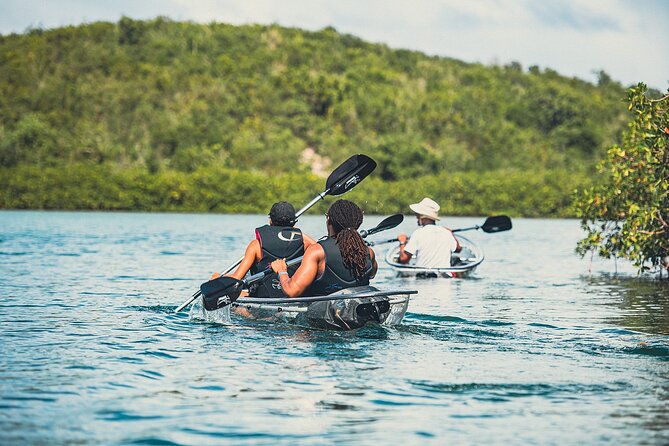 Crystal Kayak & Snorkel Eco Tour (with transfer) - Is $89 a fair price?