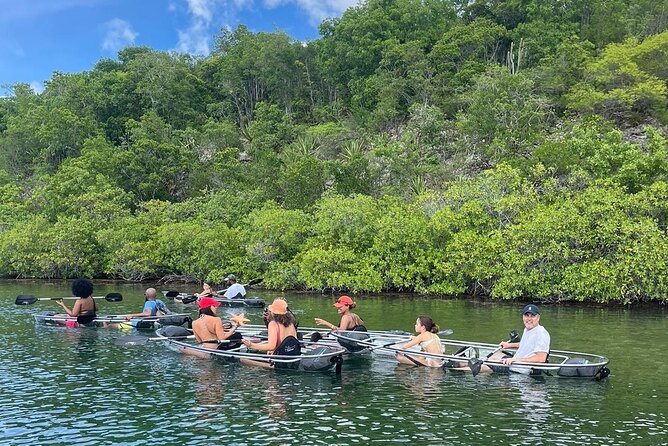 Crystal Kayak & Snorkel Eco Tour (with transfer) - What the support boat adds to the morning