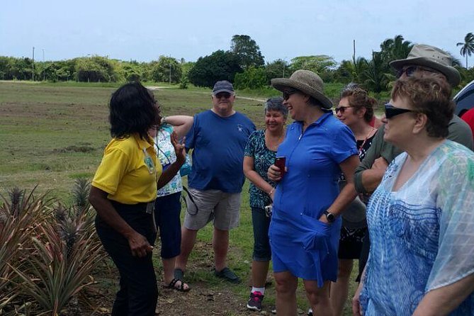 Cultural and Historical Home Tour in The Antiguan Experience - What This Antigua Tour Is Trying to Show You
