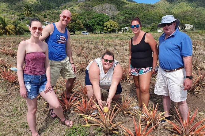 Cultural and Historical Home Tour in The Antiguan Experience - Timing, Vehicles, and the Private-Tour Question