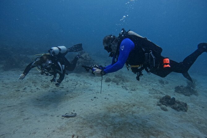 DiveCarib - An Eco-Friendly Certified Diver Trip in Antigua - The briefing and equipment check