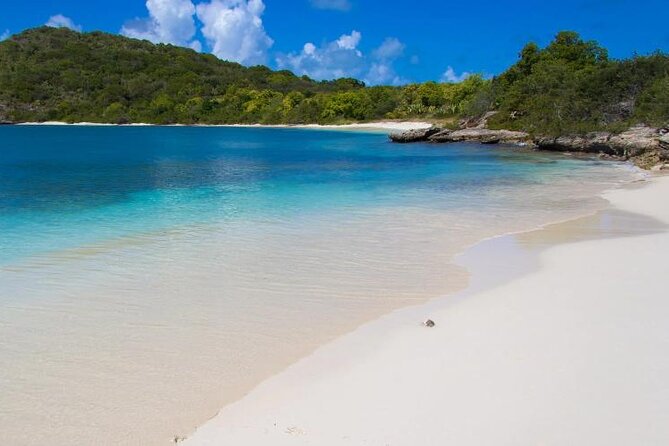 FANTASTIC Green Island and Sea Turtles - Half Day share boat trip - Key Points to Know Before Booking