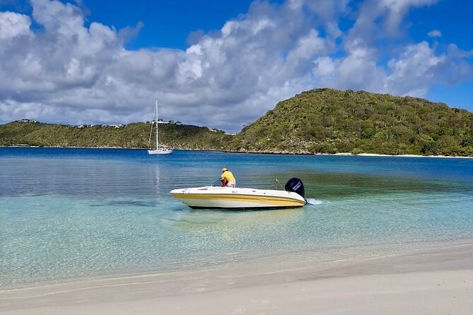 FANTASTIC Green Island and Sea Turtles - Half Day share boat trip - From St. John’s to Willikies