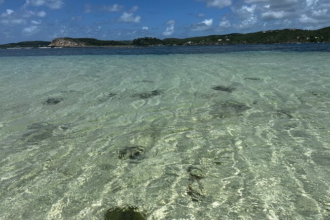 FANTASTIC Green Island and Sea Turtles - Half Day share boat trip - Looking for Sea Turtles in Clear Water