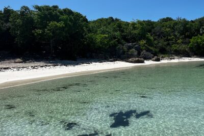 FANTASTIC Green Island and Sea Turtles – Half Day share boat trip