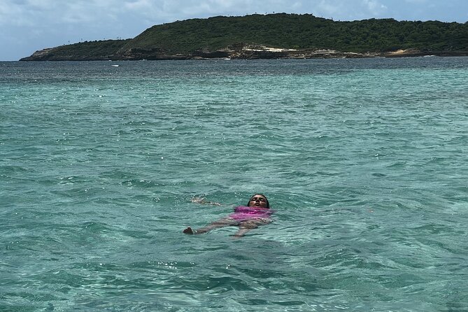 FANTASTIC Green Island and Sea Turtles - Half Day share boat trip - Snacks, Prosecco, and the Practical Comforts