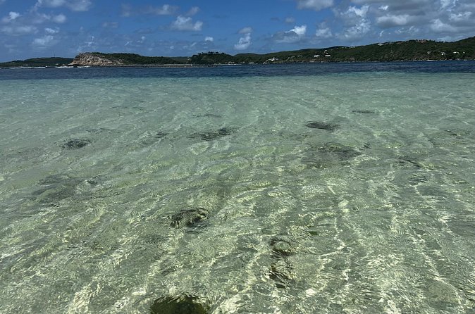 FANTASTIC Green Island and Sea Turtles - Half Day share boat trip - Guides Who Shape the Morning