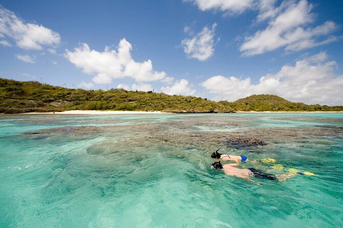 FANTASTIC Green Island and Sea Turtles - Half Day share boat trip - Who Should Book This Green Island Trip?