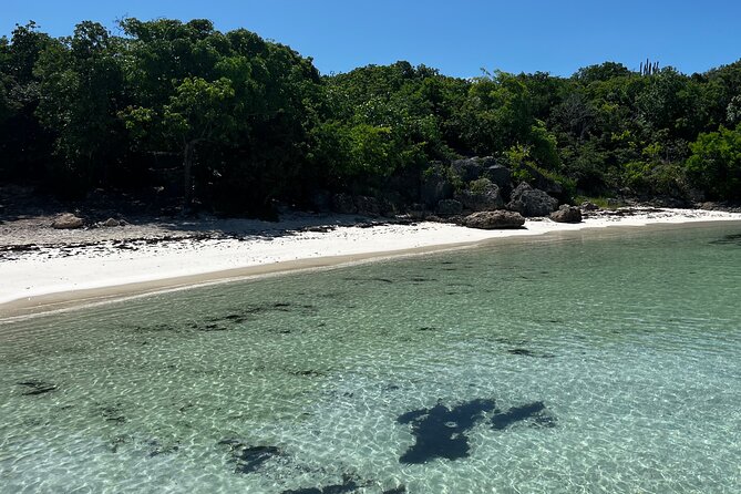 FANTASTIC Green Island and Sea Turtles - Half Day share boat trip - The Boat Ride and Green Island Beach