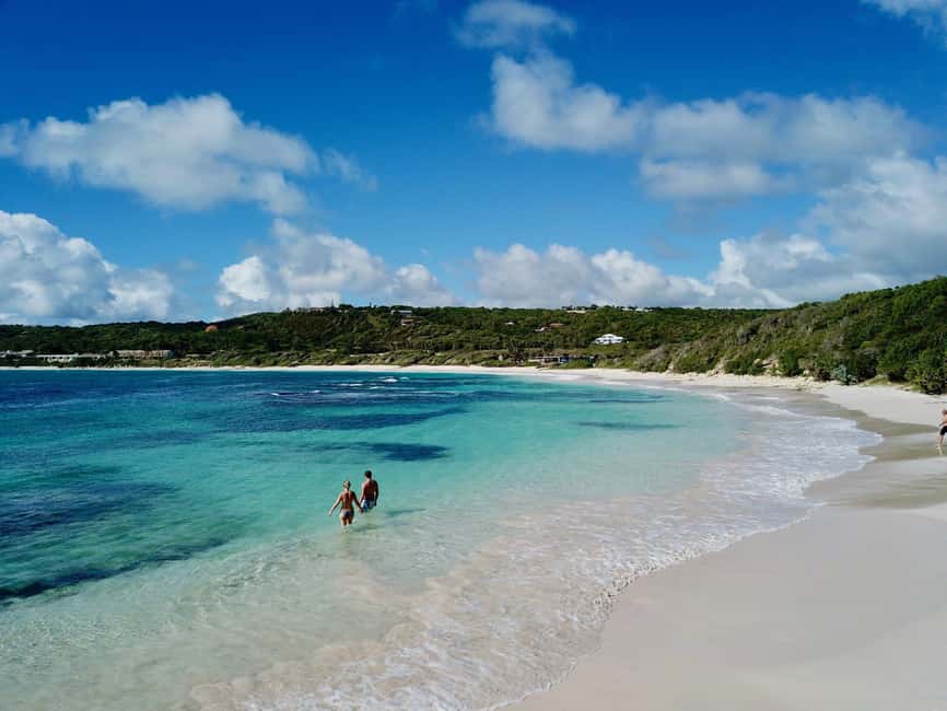 From St John's: Half Moon Bay Beach Half-Day Trip by Van - Key points to know before you book