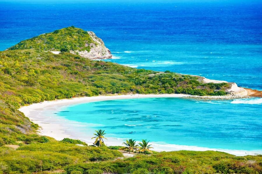 From St John's: Half Moon Bay Beach Half-Day Trip by Van - The short walk to calmer water