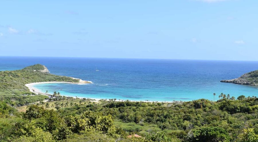 From St John's: Half Moon Bay Beach Half-Day Trip by Van - Is the $99 price good value?