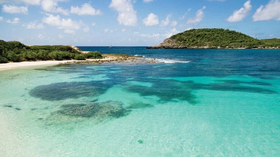 From St John's: Half Moon Bay Beach Half-Day Trip by Van - The van ride from St Johns to the bay