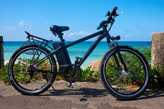 Guided Orange Valley Bike and Hike - Seeing Antigua Black Pineapple in the field