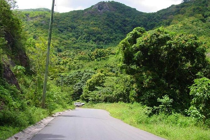 Half-Day Tour: A Taste of Paradise and History of Antigua - Shirley Heights for English Harbour views