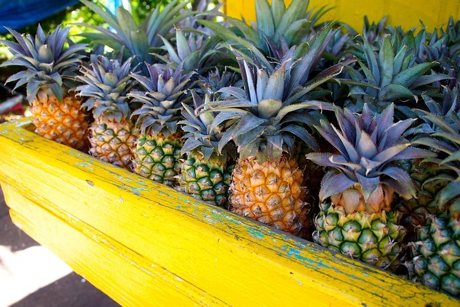 Half-Day Tour: A Taste of Paradise and History of Antigua - Nelson’s Dockyard and Antigua’s naval story