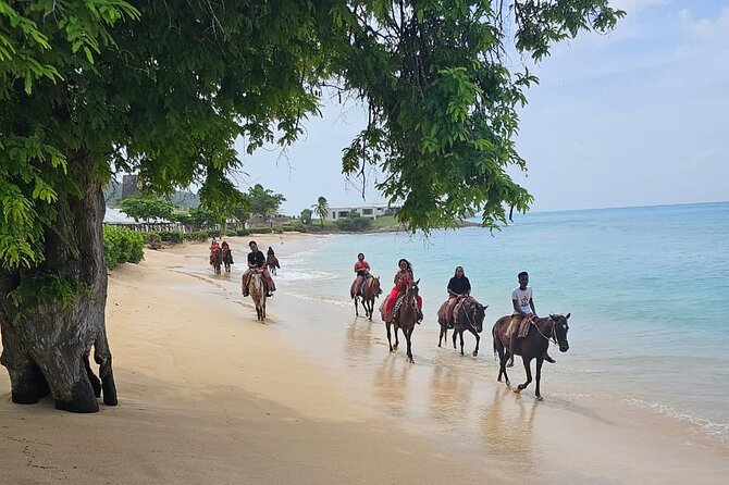 Horseback Riding at Hawksbill Beach in Five islands Antigua - Starting at Peggy Pond Bar & Grill in Five Islands