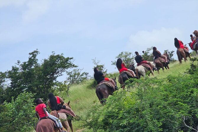 Horseback Riding at Hawksbill Beach in Five islands Antigua - Friendly horses and a simple first briefing
